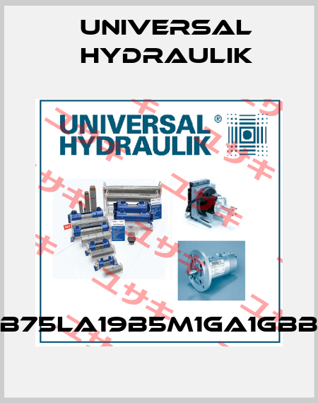 B75LA19B5M1GA1GBB Universal Hydraulik