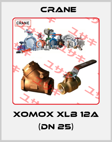 XOMOX XLB 12A (DN 25) Crane