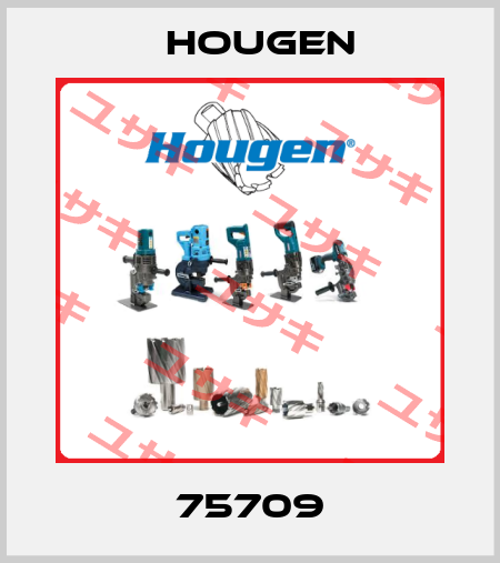 75709 Hougen