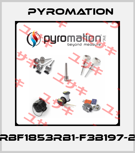 RBF1853RB1-F3B197-2 Pyromation