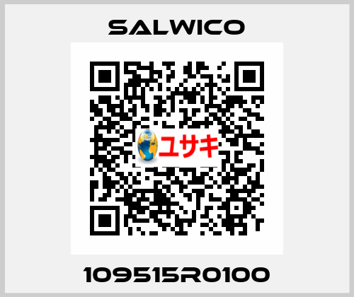 109515R0100 Salwico