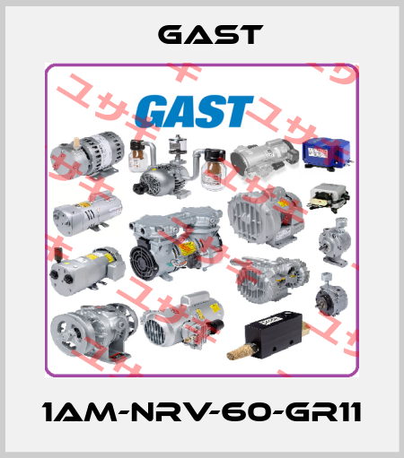 1AM-NRV-60-GR11 Gast
