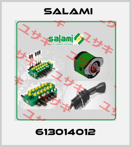613014012 Salami