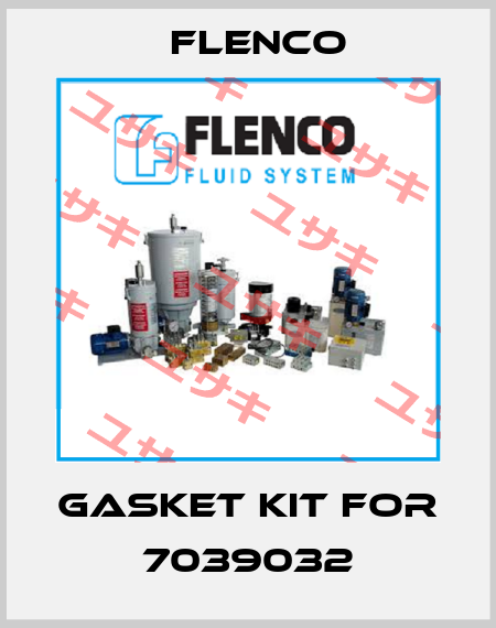 Gasket kit for 7039032 Flenco