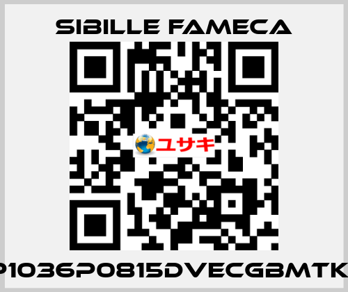 VDP1036P0815DVECGBMTKRI1T Sibille Fameca