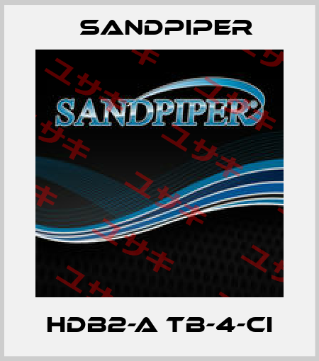 HDB2-A TB-4-CI Sandpiper