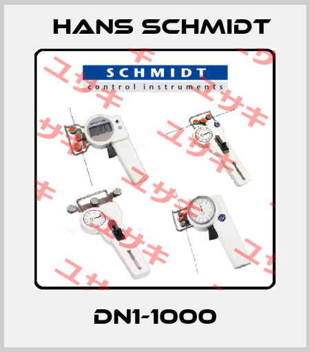 DN1-1000 Hans Schmidt