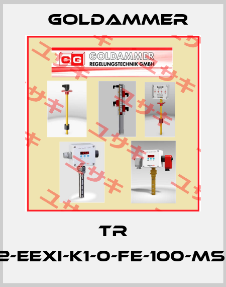TR 12-EExi-K1-0-FE-100-MS-I Goldammer