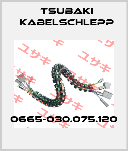 0665-030.075.120 Tsubaki Kabelschlepp
