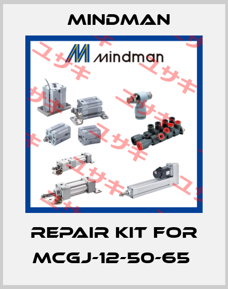 REPAIR KIT FOR MCGJ-12-50-65  Mindman