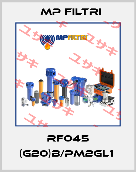 RF045 (G20)B/PM2GL1  MP Filtri