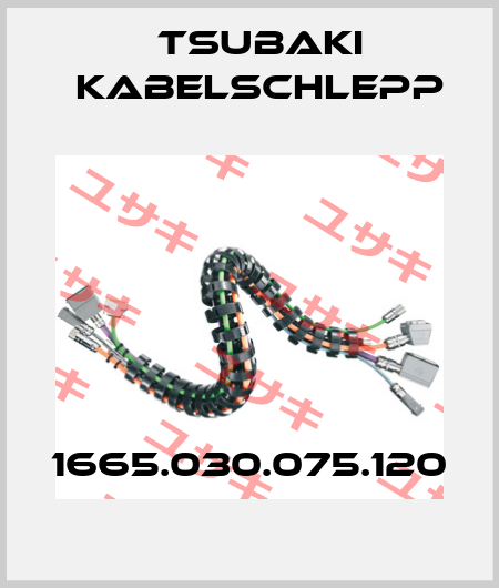 1665.030.075.120 Tsubaki Kabelschlepp