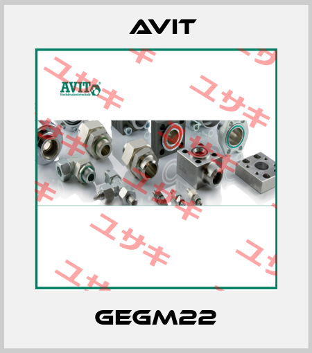 GEGM22 Avit