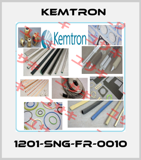 1201-SNG-FR-0010 KEMTRON