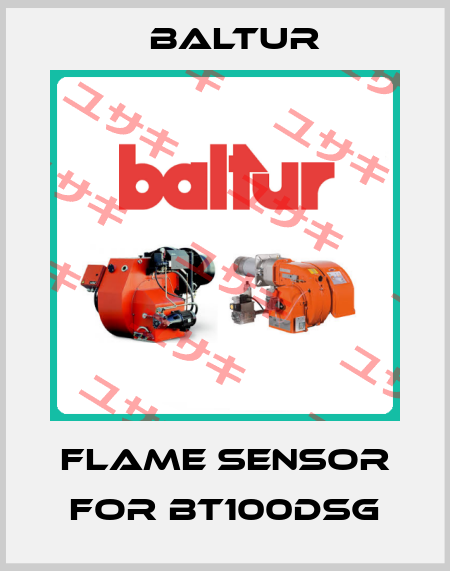 flame sensor for BT100DSG Baltur