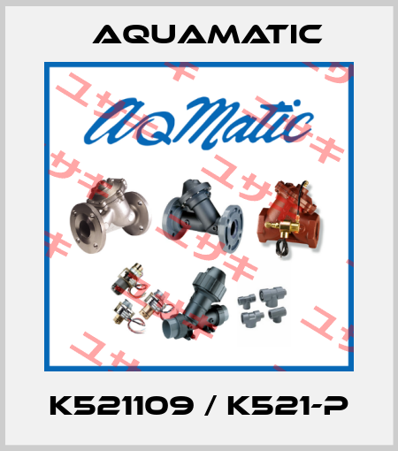 K521109 / K521-P AquaMatic