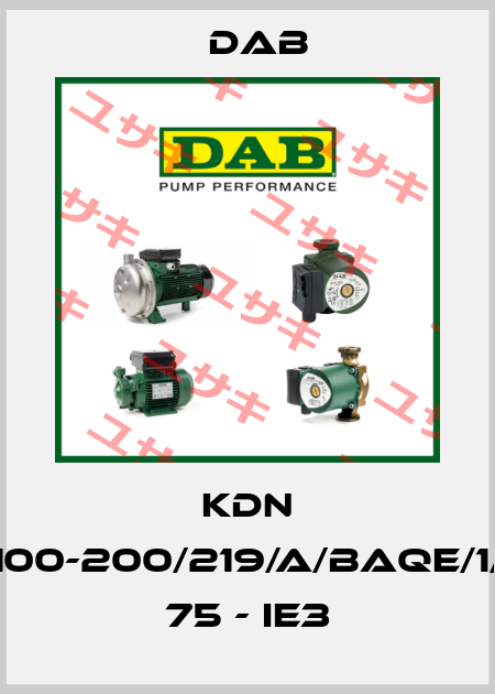 KDN 100-200/219/A/BAQE/1/ 75 - IE3 DAB
