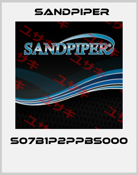 S07B1P2PPBS000  Sandpiper