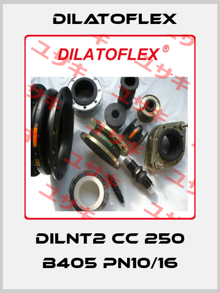 DILNT2 CC 250 B405 PN10/16 DILATOFLEX