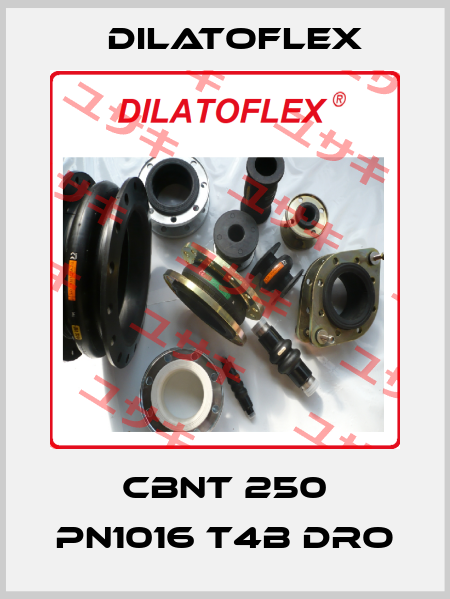 CBNT 250 PN1016 T4B DRO DILATOFLEX