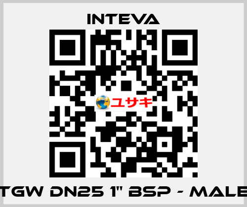 TGW DN25 1" BSP - male Inteva