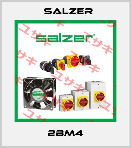 2BM4 Salzer