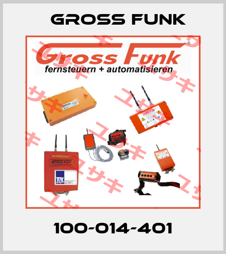 100-014-401 Gross Funk