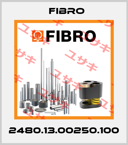 2480.13.00250.100 Fibro