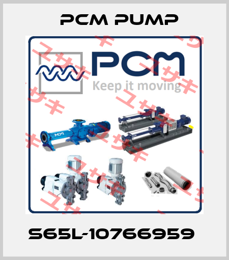 S65L-10766959  PCM Pump