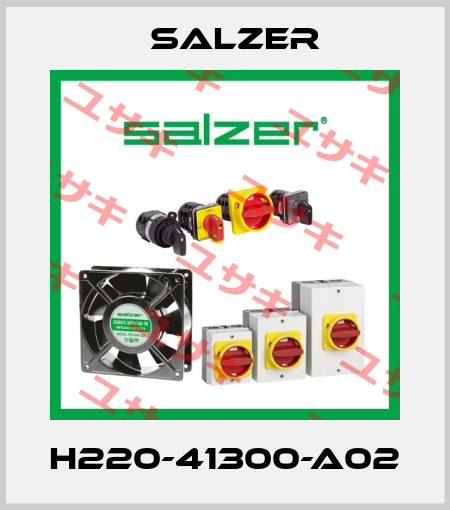 H220-41300-A02 Salzer