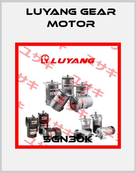 5GN30K Luyang Gear Motor