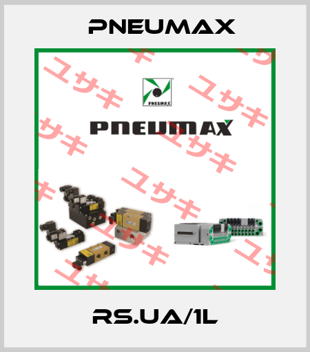 RS.UA/1L Pneumax