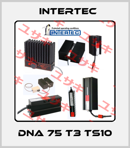 DNA 75 T3 TS10 Intertec