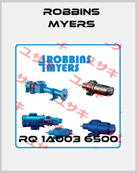 RQ 1A003 6500 Robbins Myers