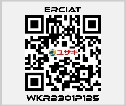 WKR2301P125 ERCIAT