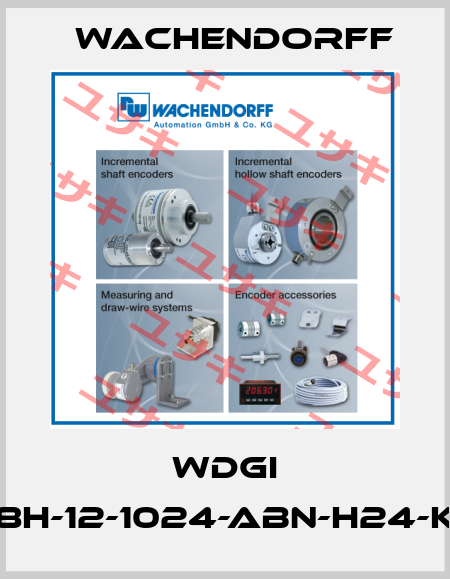 WDGI 58H-12-1024-ABN-H24-K3 Wachendorff