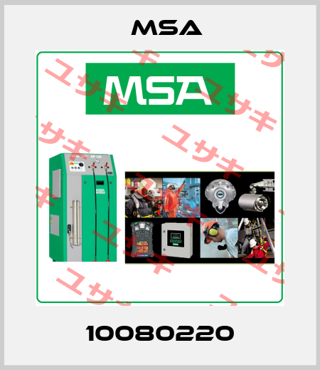 10080220 Msa