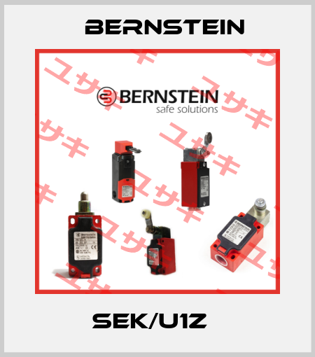 SEK/U1Z　 Bernstein