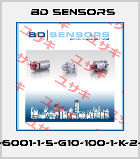 590-6001-1-5-G10-100-1-K-2-000 Bd Sensors