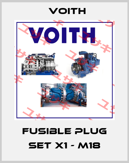 Fusible plug set X1 - M18 Voith