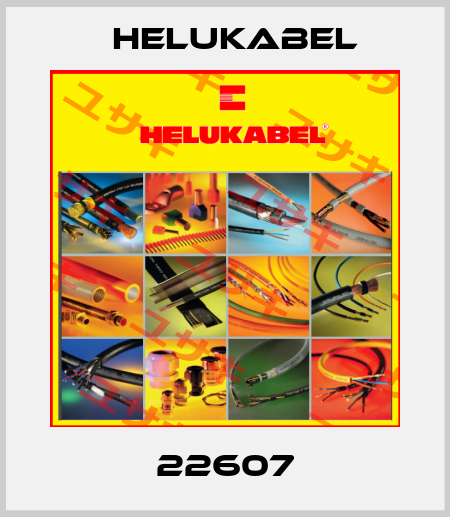 22607 Helukabel