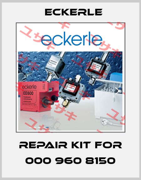 repair kit for 000 960 8150 Eckerle