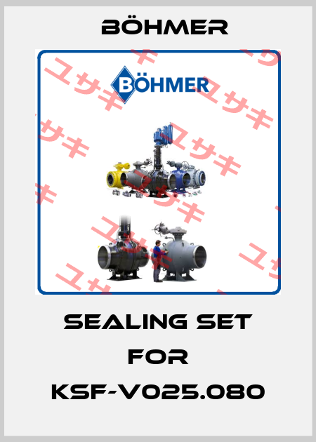 Sealing set for KSF-V025.080 Böhmer