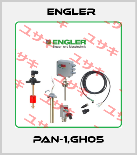 PAN-1,GH05 Engler