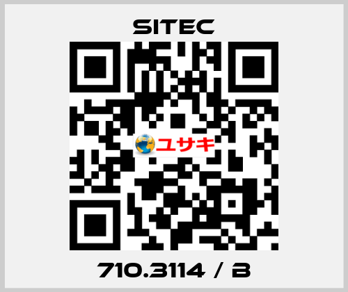 710.3114 / b SITEC