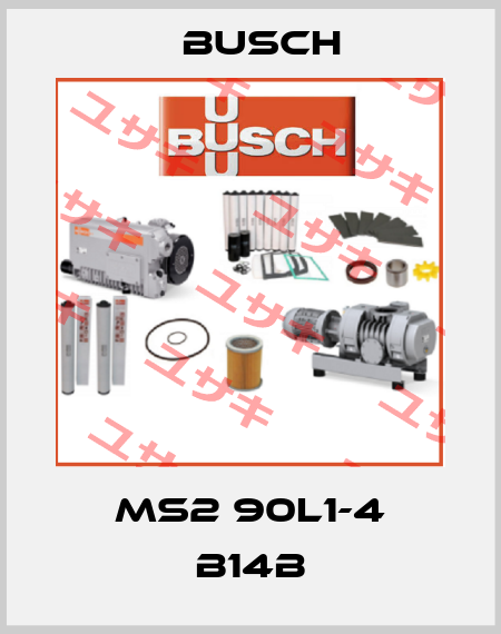 MS2 90L1-4 B14B Busch