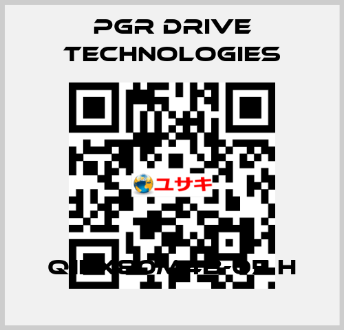 Q1EX80M4B-05 H PGR Drive Technologies