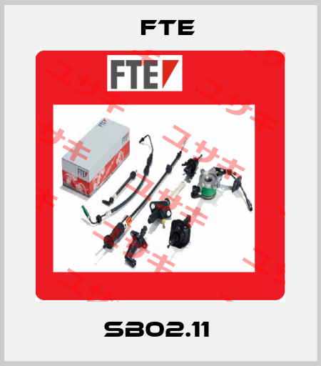 SB02.11  FTE