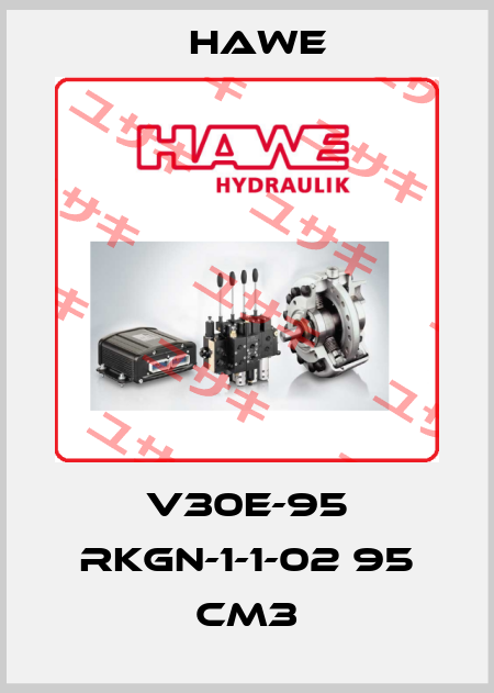 V30E-95 RKGN-1-1-02 95 CM3 Hawe