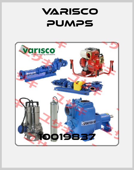 10019837 Varisco pumps